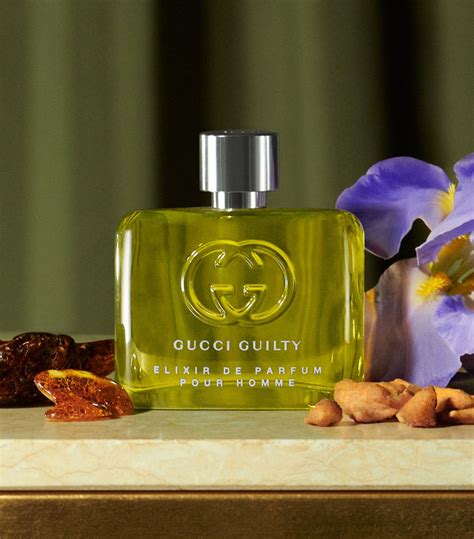 innocent gucci guilty|Gucci Guilty pour homme by.